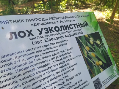 Парк Гайдар - 36.jpg